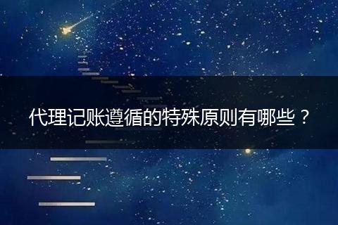代理记账遵循的特殊原则有哪些？