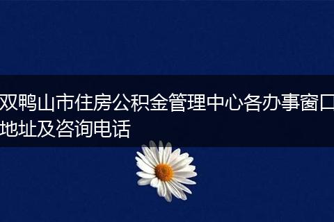 双鸭山市住房公积金管理中心各办事窗口地址及咨询电话