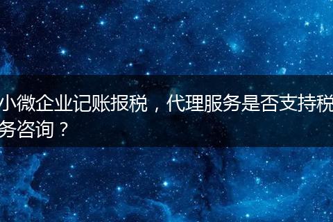 小微企业记账报税，代理服务是否支持税务咨询？