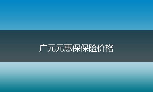 广元元惠保保险价格