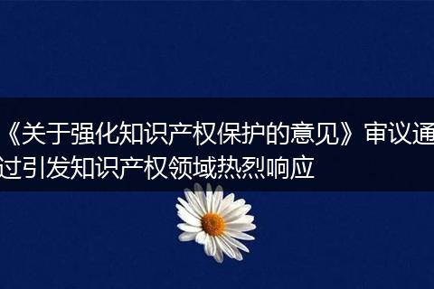 《关于强化知识产权保护的意见》审议通过引发知识产权领域热烈响应