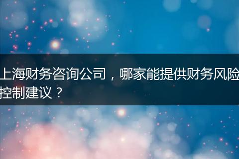 上海财务咨询公司，哪家能提供财务风险控制建议？