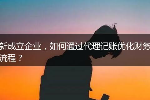新成立企业，如何通过代理记账优化财务流程？