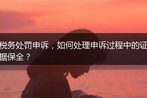 税务处罚申诉，如何处理申诉过程中的证据保全？