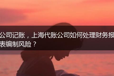 公司记账，上海代账公司如何处理财务报表编制风险？