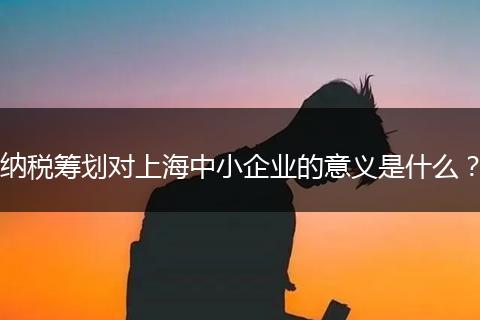 纳税筹划对上海中小企业的意义是什么？