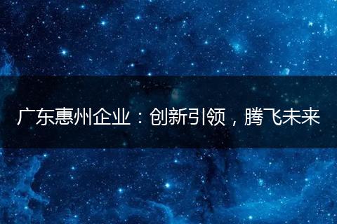 广东惠州企业：创新引领，腾飞未来