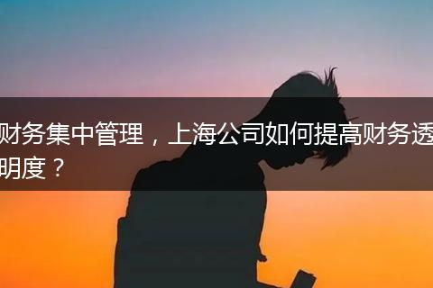 财务集中管理，上海公司如何提高财务透明度？
