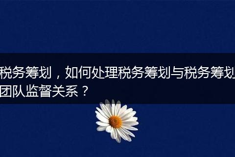 税务筹划，如何处理税务筹划与税务筹划团队监督关系？