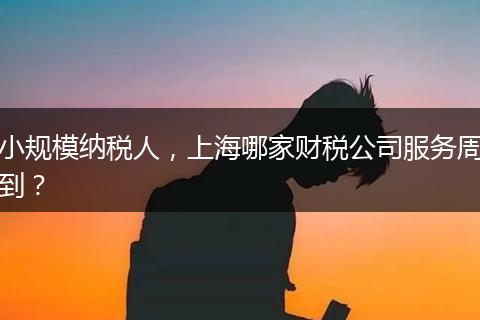小规模纳税人，上海哪家财税公司服务周到？