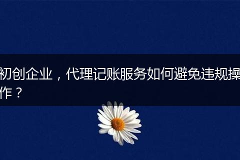 初创企业，代理记账服务如何避免违规操作？