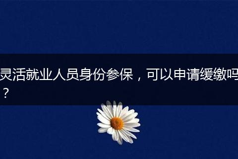 灵活就业人员身份参保，可以申请缓缴吗？