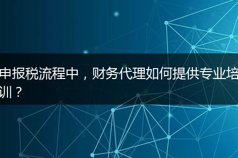 申报税流程中，财务代理如何提供专业培训？