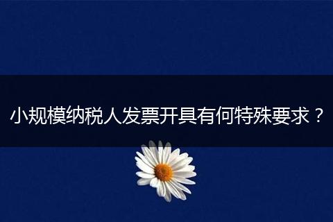 小规模纳税人发票开具有何特殊要求？