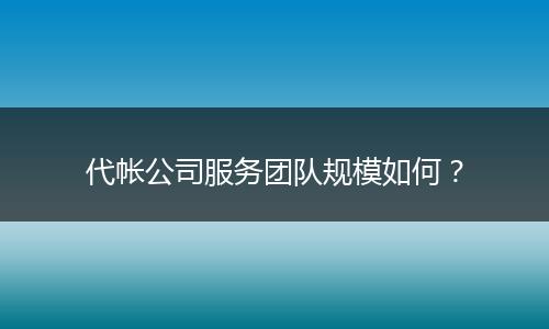 代帐公司服务团队规模如何？