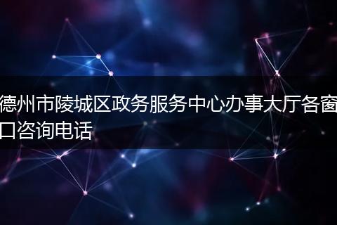 德州市陵城区政务服务中心办事大厅各窗口咨询电话