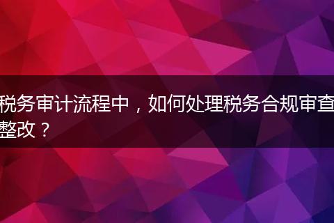 税务审计流程中，如何处理税务合规审查整改？