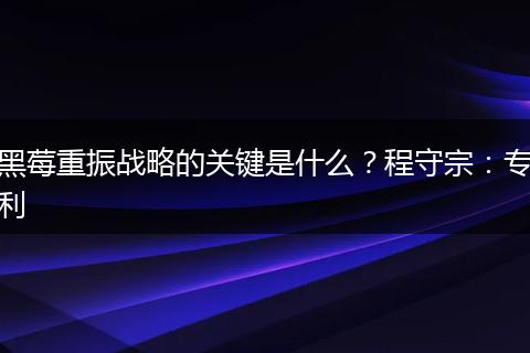 黑莓重振战略的关键是什么？程守宗：专利