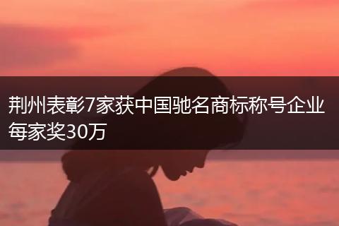 荆州表彰7家获中国驰名商标称号企业 每家奖30万