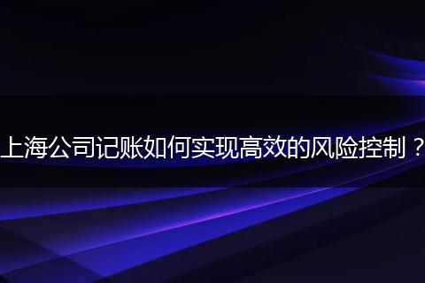 上海公司记账如何实现高效的风险控制？