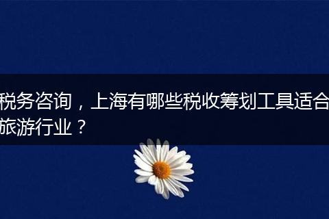 税务咨询，上海有哪些税收筹划工具适合旅游行业？