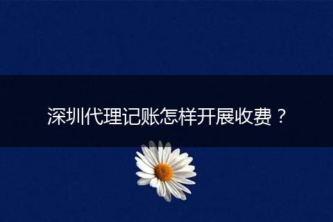 深圳代理记账怎样开展收费？