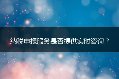 纳税申报服务是否提供实时咨询？