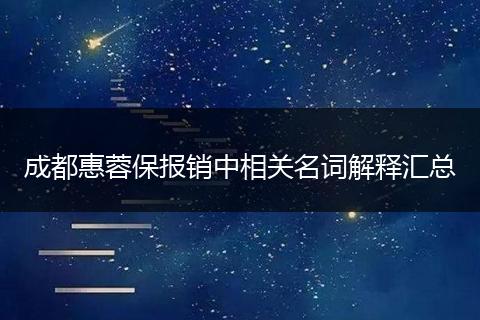 成都惠蓉保报销中相关名词解释汇总