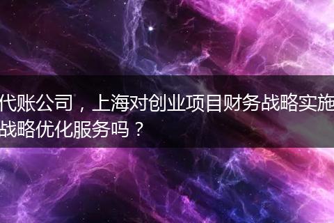 代账公司，上海对创业项目财务战略实施战略优化服务吗？