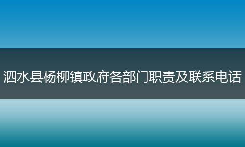 泗水县杨柳镇政府各部门职责及联系电话