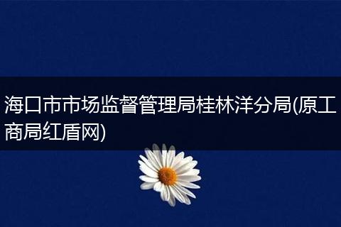 海口市市场监督管理局桂林洋分局(原工商局红盾网)
