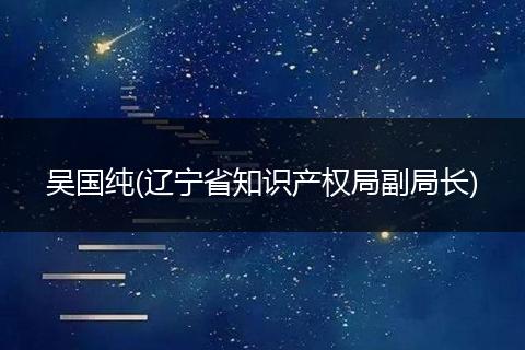 吴国纯(辽宁省知识产权局副局长)