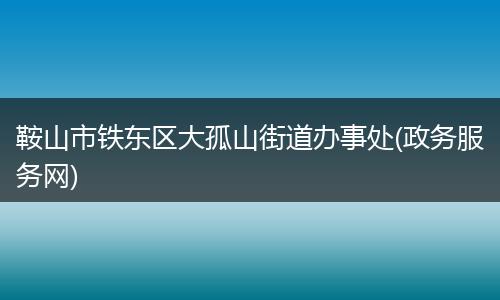 鞍山市铁东区大孤山街道办事处(政务服务网)