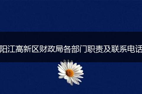 阳江高新区财政局各部门职责及联系电话