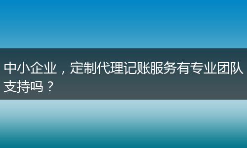 中小企业，定制代理记账服务有专业团队支持吗？