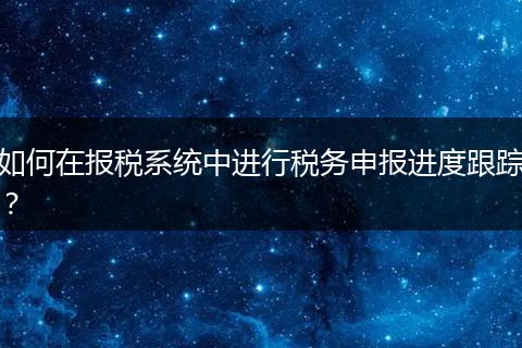 如何在报税系统中进行税务申报进度跟踪？