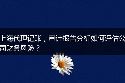 上海代理记账，审计报告分析如何评估公司财务风险？