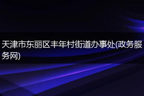 天津市东丽区丰年村街道办事处(政务服务网)