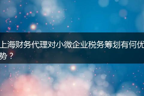 上海财务代理对小微企业税务筹划有何优势？