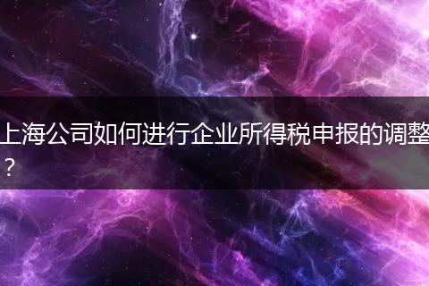 上海公司如何进行企业所得税申报的调整？