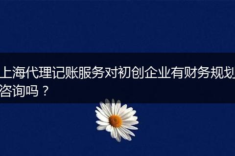 上海代理记账服务对初创企业有财务规划咨询吗？