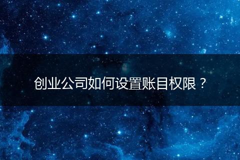 创业公司如何设置账目权限？