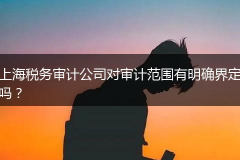 上海税务审计公司对审计范围有明确界定吗？