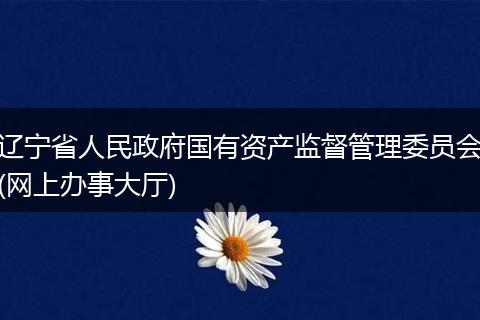 辽宁省人民政府国有资产监督管理委员会(网上办事大厅)