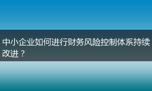 中小企业如何进行财务风险控制体系持续改进？