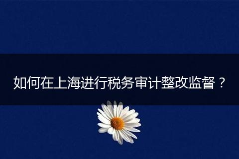 如何在上海进行税务审计整改监督？
