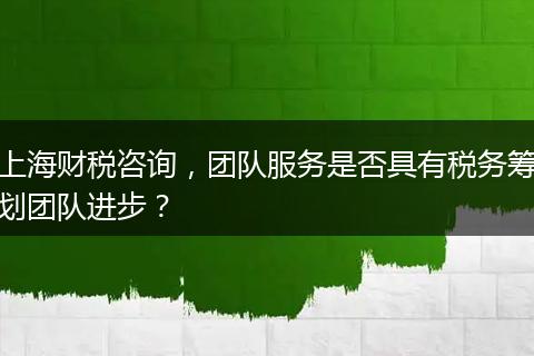 上海财税咨询，团队服务是否具有税务筹划团队进步？