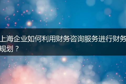 上海企业如何利用财务咨询服务进行财务规划？