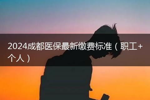 2024成都医保最新缴费标准（职工+个人）