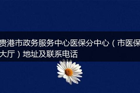 贵港市政务服务中心医保分中心（市医保大厅）地址及联系电话